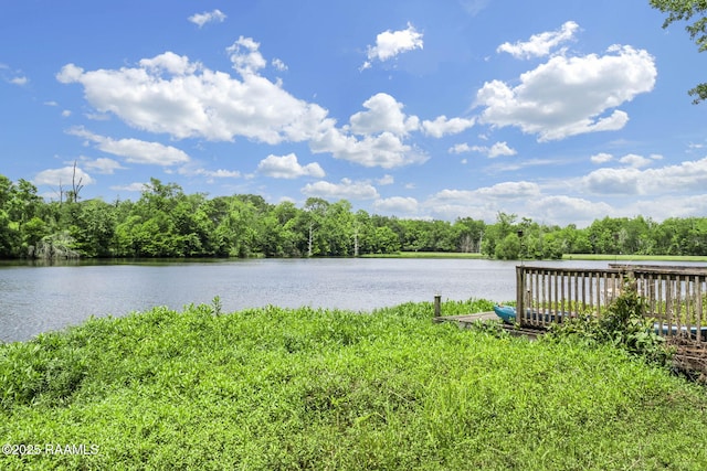 358 Hidden Village Dr, Washington, LA 70589 - photo 10