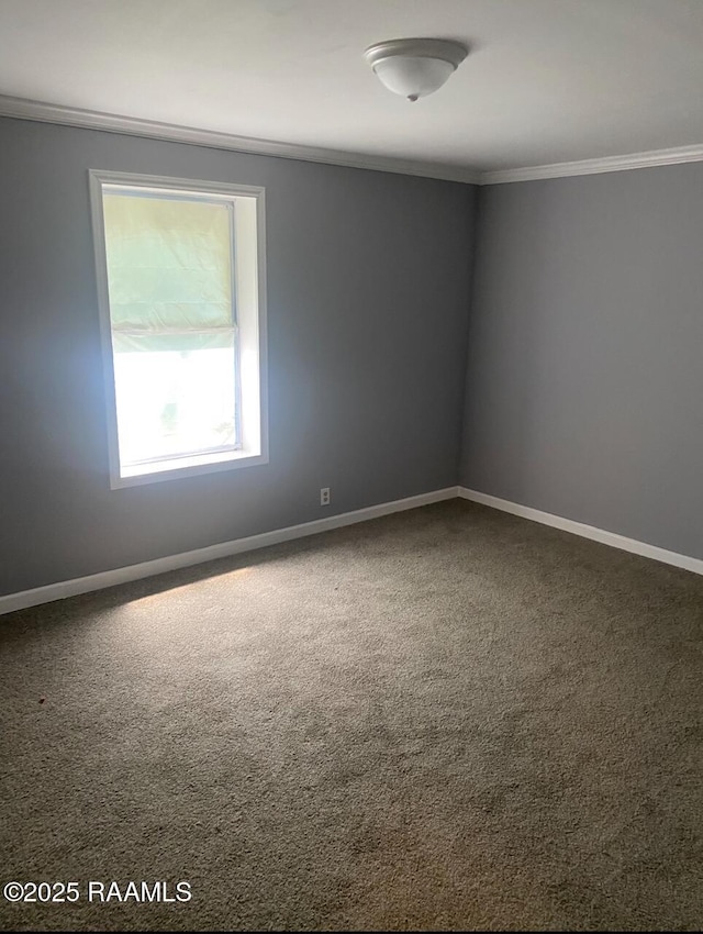 carpeted spare room featuring ornamental molding and baseboards