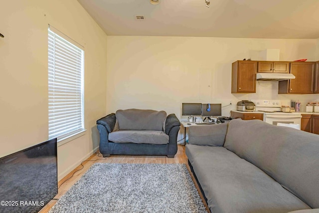 259 Chatrian St, Grand Coteau, LA 70541 - living area with baseboards and light wood finished floors