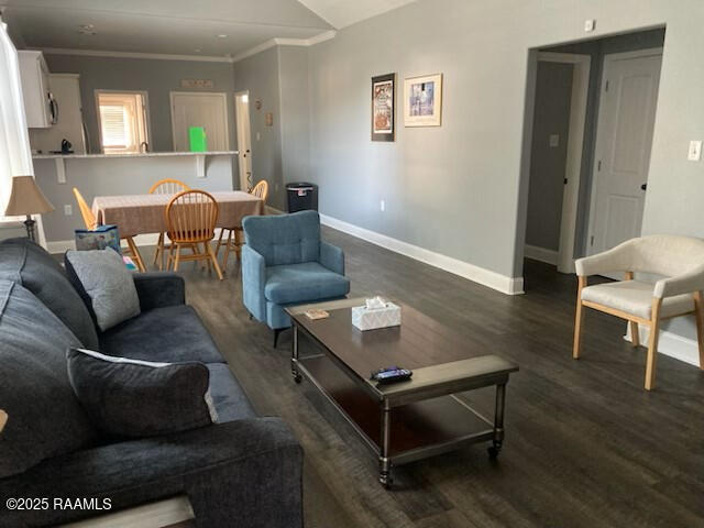 236 Chatrian St, Grand Coteau, LA 70541 - living room featuring baseboards, dark wood finished floors, and ornamental molding