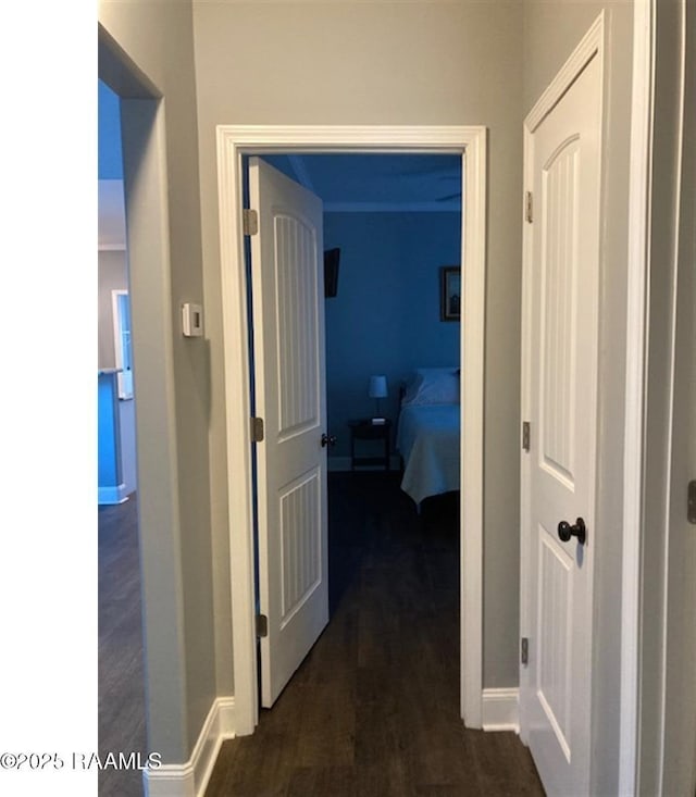 236 Chatrian St, Grand Coteau, LA 70541 - hall with baseboards and dark wood-style flooring