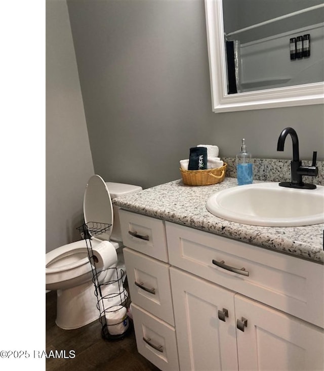 236 Chatrian St, Grand Coteau, LA 70541 - bathroom with vanity, toilet, wood finished floors, and curtained shower