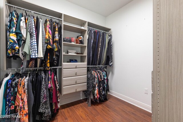 201 Rue Paon, Youngsville, LA 70592 - spacious closet with wood finished floors