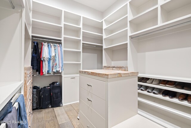 408 Princeton Woods Loop, Lafayette, LA 70508 - spacious closet with light wood-style flooring