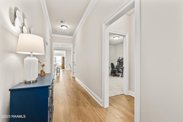 101 Micah Edward, Maurice, LA 70555 - hallway with crown molding, light wood-style floors, and baseboards