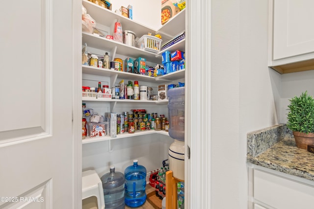 101 Micah Edward, Maurice, LA 70555 - view of pantry