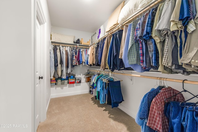 101 Micah Edward, Maurice, LA 70555 - spacious closet featuring carpet flooring