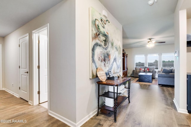 7014 Acacia Lake Dr, Maurice, LA 70555 - hall featuring wood finished floors and baseboards