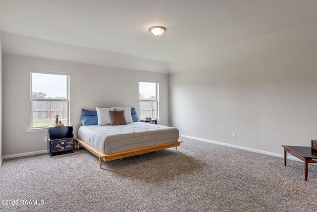 110 Casa Bella Ct, Breaux Bridge, LA 70517 - bedroom featuring carpet flooring and multiple windows