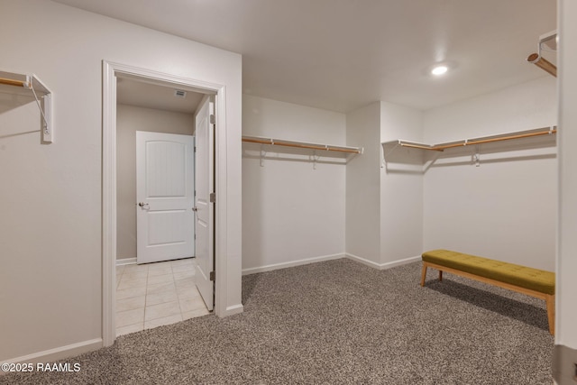 110 Casa Bella Ct, Breaux Bridge, LA 70517 - spacious closet featuring carpet floors and tile patterned floors