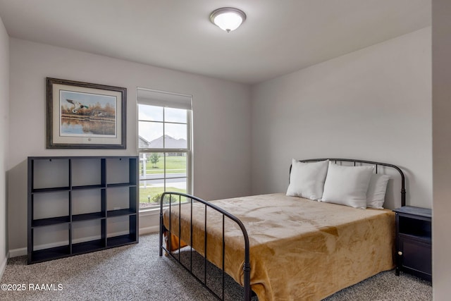 110 Casa Bella Ct, Breaux Bridge, LA 70517 - carpeted bedroom with baseboards
