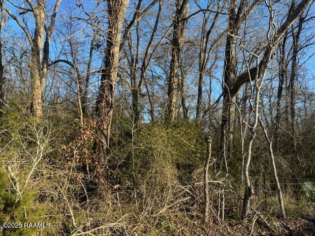 1 Heard Sylvester Rd, Washington, LA 70589 - photo 2