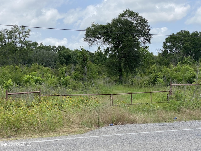 Tbd Cypress Island Highway, Saint Martinville, LA 70582
