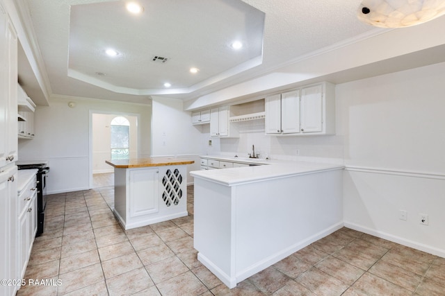 421 Plantation Rd, Opelousas, LA 70570 - kitchen featuring black range with gas stovetop, a tray ceiling, a sink, white cabinetry, and ornamental molding