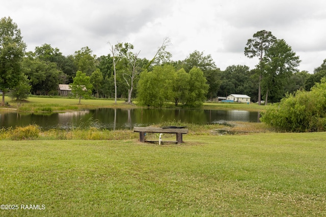 319 Nezpique Ln, Iota, LA 70543 - photo 40
