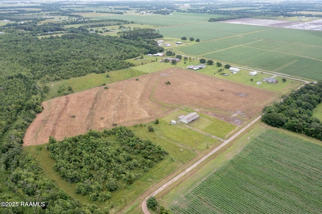 TBD Dubose Rd, Rayne, LA 70578 - photo 6