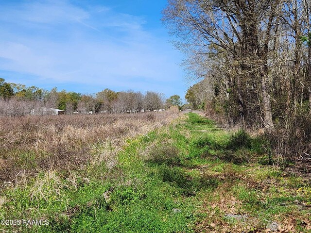 7039 Johnston St, Lafayette, LA 70503 - photo 4