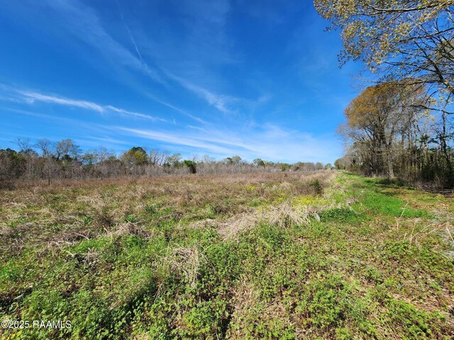 7039 Johnston St, Lafayette, LA 70503 - photo 5