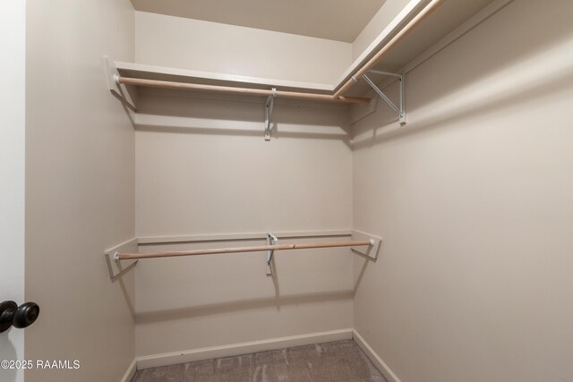 320 Golden Grain, Duson, LA 70529 - spacious closet with carpet floors
