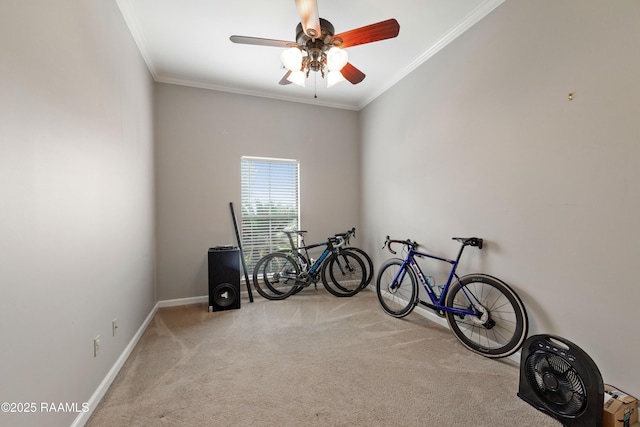 320 Golden Grain, Duson, LA 70529 - miscellaneous room with carpet flooring, baseboards, a ceiling fan, and ornamental molding