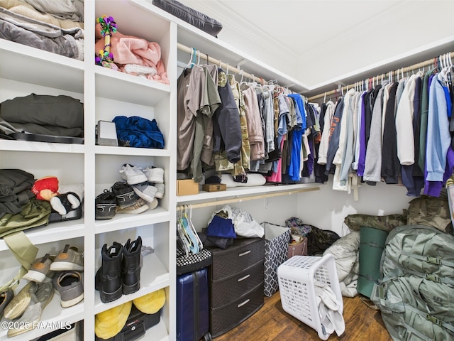120 Old Heritage Ln, Carencro, LA 70520 - spacious closet featuring wood finished floors