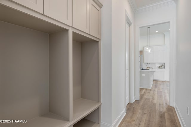 203 Redfern St, Lafayette, LA 70508 - mudroom with crown molding and light wood-style flooring