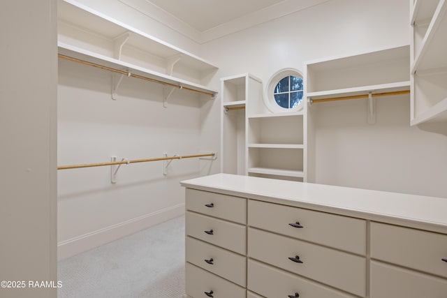 104 Avallach Dr, Lafayette, LA 70503 - walk in closet featuring carpet flooring