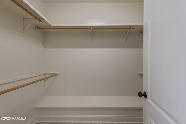 103 Swallows Pass, Carencro, LA 70520 - view of walk in closet