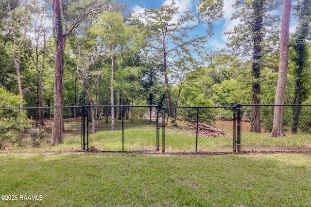 139 Gentry Dr, Washington, LA 70589 - photo 34