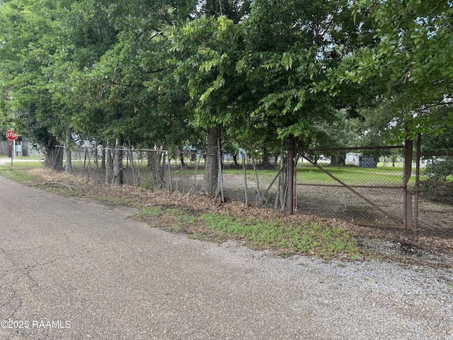 120 Philomine St, Lafayette, LA 70501 - photo 8