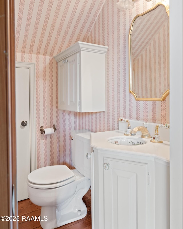 1414 E Bayou Pkwy, Lafayette, LA 70508 - half bathroom with toilet, vanity, and wood finished floors