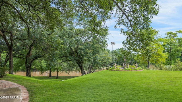 1414 E Bayou Pkwy, Lafayette, LA 70508 - view of home's community featuring a lawn