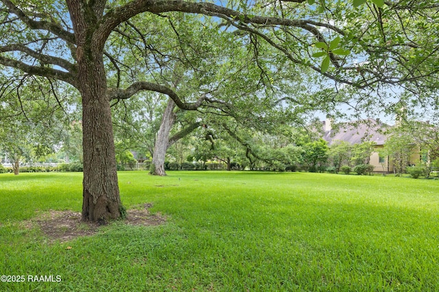 1414 E Bayou Pkwy, Lafayette, LA 70508 - view of green lawn