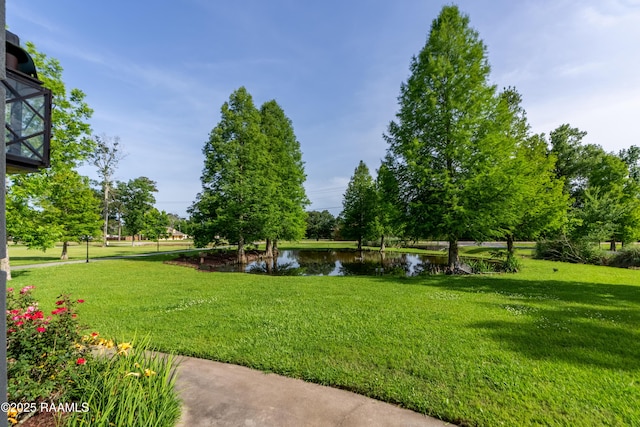 40400 Abby James Rd, Prairieville, LA 70769 - view of green lawn featuring a water view