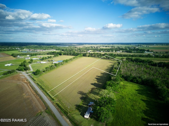 1105 Lion Castille Rd, Breaux Bridge, LA 70517 - photo 4