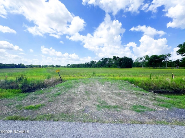 1105 Lion Castille Rd, Breaux Bridge, LA 70517 - photo 2