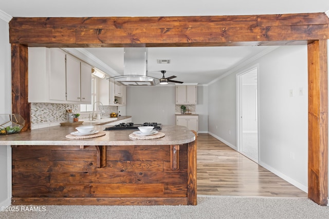 1617 Oscar St, Abbeville, LA 70510 - kitchen with a ceiling fan, a sink, a peninsula, crown molding, and island exhaust hood
