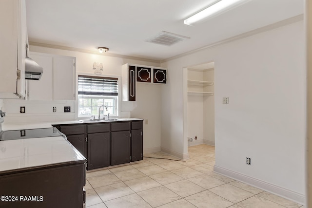 311 Grossie Dr, Lafayette, LA 70501 - kitchen featuring a sink, exhaust hood, range, light countertops, and ornamental molding