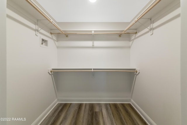 119 Sandstone Ave, Scott, LA 70583 - walk in closet with dark wood-style flooring