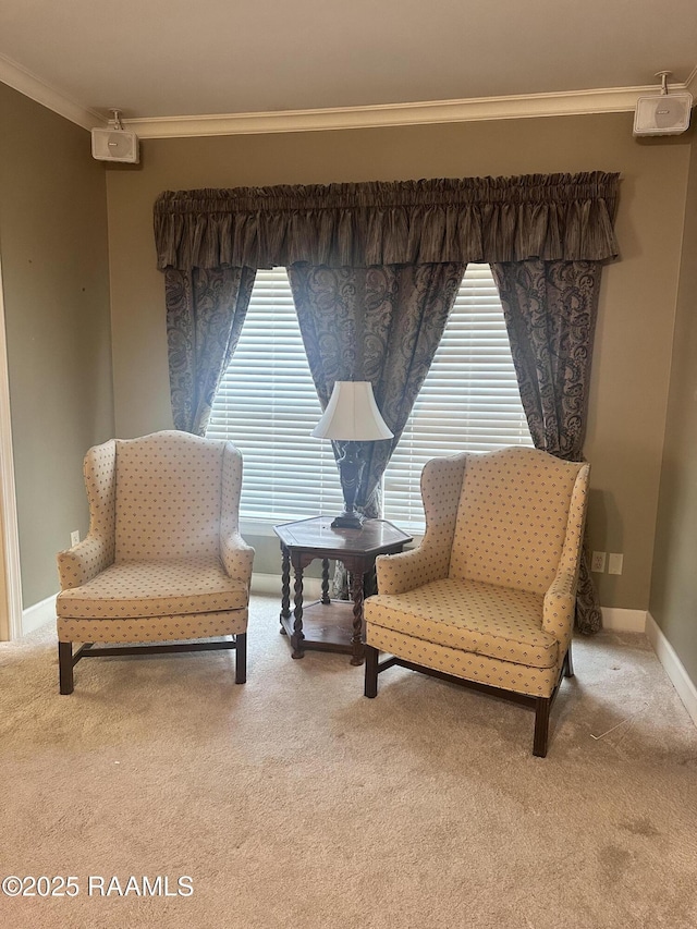 404 Old Settlement Rd, Lafayette, LA 70508 - living area with plenty of natural light, ornamental molding, carpet flooring, and baseboards