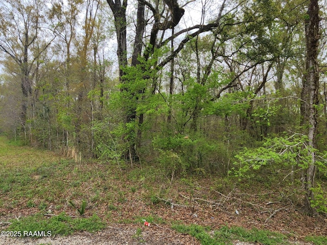 1165 Bayou Portage Rd, Saint Martinville, LA 70582