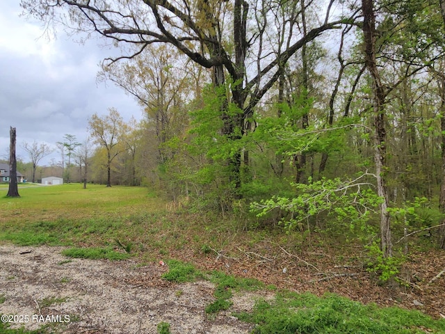 1165 Bayou Portage Rd, Saint Martinville, LA 70582