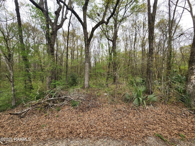 1165 Bayou Portage Rd, Saint Martinville, LA 70582