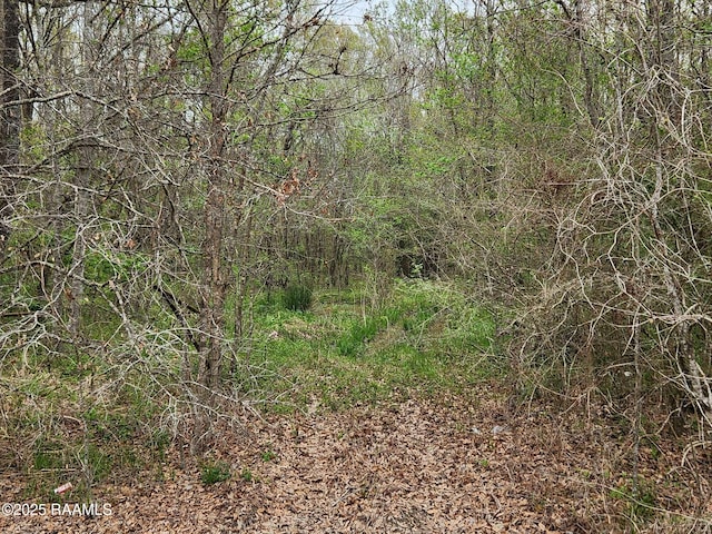 1165 Bayou Portage Rd, Saint Martinville, LA 70582