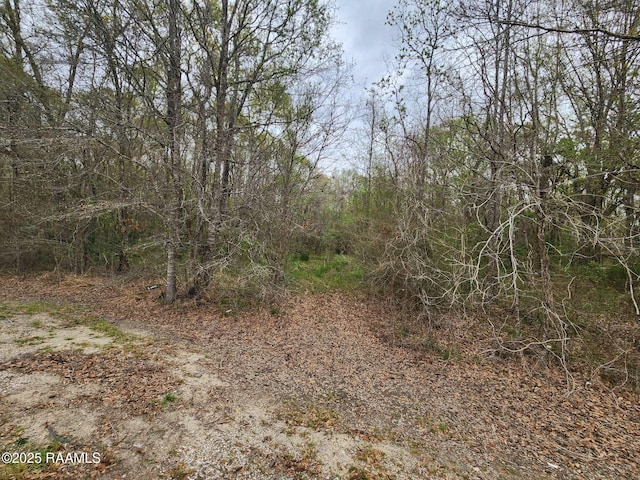 1165 Bayou Portage Rd, Saint Martinville, LA 70582