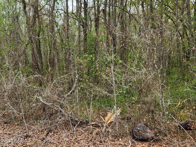 1165 Bayou Portage Rd, Saint Martinville, LA 70582