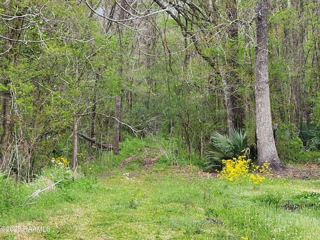 1165 Bayou Portage Rd, Saint Martinville, LA 70582