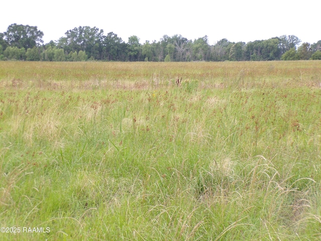 300BLK3 Joli Rd, Carencro, LA 70520