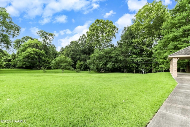 2424 Vista Dr, Opelousas, LA 70570 - view of grassy yard
