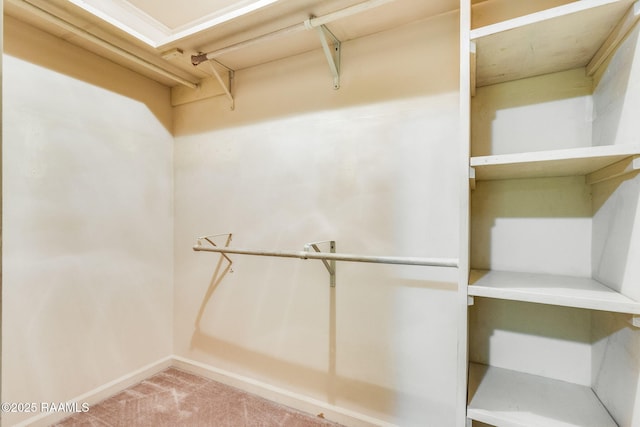 138 Cypress Dr, Opelousas, LA 70570 - walk in closet featuring carpet floors